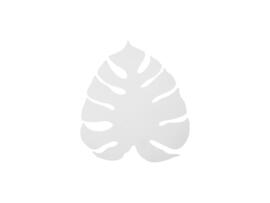 Фото настенный светильник TK Lighting Monstera 1354, купить с доставкой на skylight.com.ua