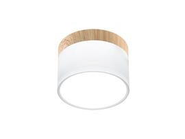 Фото точковий світильник Candellux 2273648 Tuba, купити з доставкою на skylight.com.ua