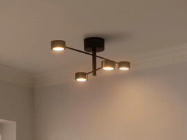 Фото потолочная люстра Nordlux 2412260103, купить с доставкой на skylight.com.ua