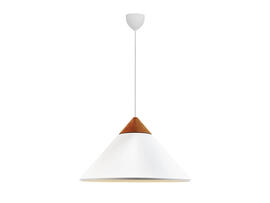 Фото подвесной светильник Nordlux 2520083001, купить с доставкой на skylight.com.ua