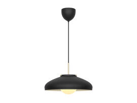 Фото подвесной светильник Nordlux 2520123003, купить с доставкой на skylight.com.ua