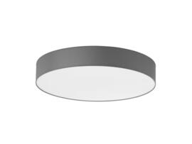 Фото потолочный светильник TK Lighting Rondo Graphite 2725, купить с доставкой на skylight.com.ua