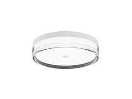 Фото потолочный светильник Laguna Lighting 27373-24, купить с доставкой на skylight.com.ua