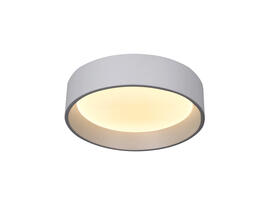 Фото потолочный светильник Laguna Lighting 28172-24, купить с доставкой на skylight.com.ua