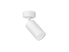 Фото светильник поворотный Goldlux 327741 London белый, купить с доставкой на skylight.com.ua