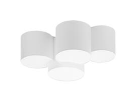 Фото потолочный светильник TK Lighting Mona White 3442, купить с доставкой на skylight.com.ua