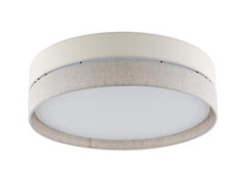 Фото стельовий світильник TK Lighting 5774 Eco, купити з доставкою на skylight.com.ua