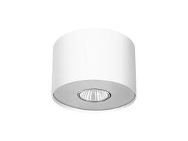 Фото точечный светильник Nowodvorski Point White Silver / White Graphite S 6000, купить с доставкой на skylight.com.ua