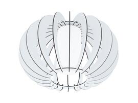Фото стельовий світильник EGLO STELLATO 2 95605, купити з доставкою на skylight.com.ua