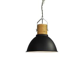 Фото подвесной светильник Azzardo Duncan Black, купить с доставкой на skylight.com.ua