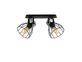 Фото спот TK Lighting Alano Black 2121, купить с доставкой на skylight.com.ua