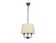 Фото подвесной светильник Candellux 31-01351 Pasteri, купить с доставкой на skylight.com.ua