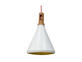 Фото подвесной светильник Candellux 31-37695 Robinson, купить с доставкой на skylight.com.ua