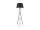 Фото торшер TK Lighting Ivo 3110, купити з доставкою на skylight.com.ua