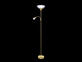 Фото торшер Laguna Lighting 80915-02, купить с доставкой на skylight.com.ua