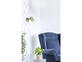 Фото бра Candellux 91-01702 Colly, купити з доставкою на skylight.com.ua