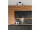 Фото спот Candellux 92-27382 Bill, купити з доставкою на skylight.com.ua