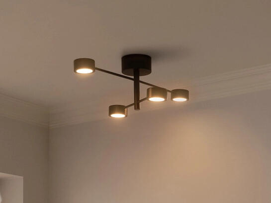 Фото потолочная люстра Nordlux 2412260103, купить с доставкой на skylight.com.ua