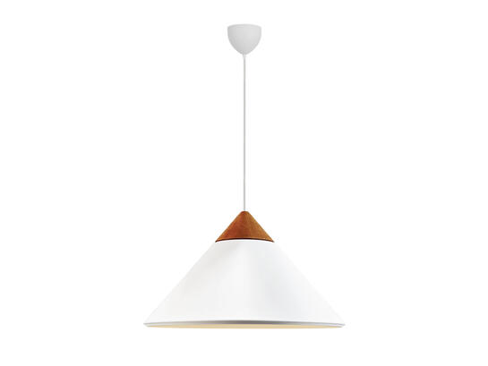 Фото подвесной светильник Nordlux 2520083001, купить с доставкой на skylight.com.ua