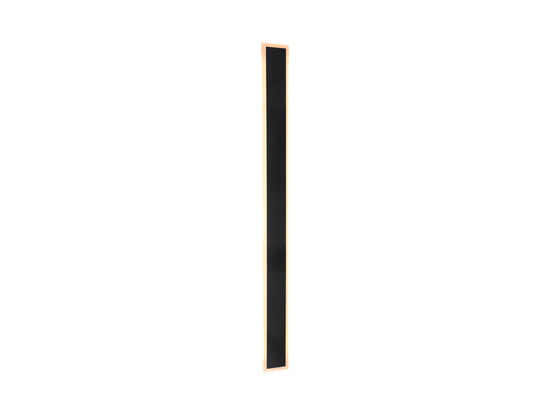 Фото уличная подсветка фасада Laguna Lighting 26161-18, купить с доставкой на skylight.com.ua