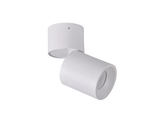 Фото светильник поворотный Goldlux 314062 Astra белый, купить с доставкой на skylight.com.ua