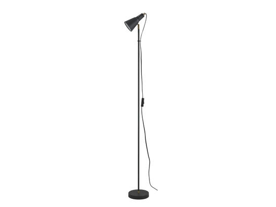 Фото торшер Laguna Lighting 60365-01, купить с доставкой на skylight.com.ua