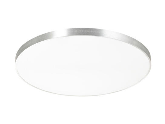 Фото потолочный светильник Zuma Line CL12100010-SL Sierra серебро , купить с доставкой на skylight.com.ua