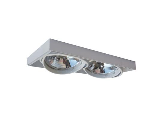 Фото точковий світильник Zuma Line ONEON DL 111-2 94364-WH, купити з доставкою на skylight.com.ua