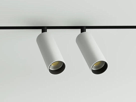 Фото трековый магнитный светильник двойной Lumineka DTB-34-WH Tube 34mm 8W Белый, купить с доставкой на skylight.com.ua