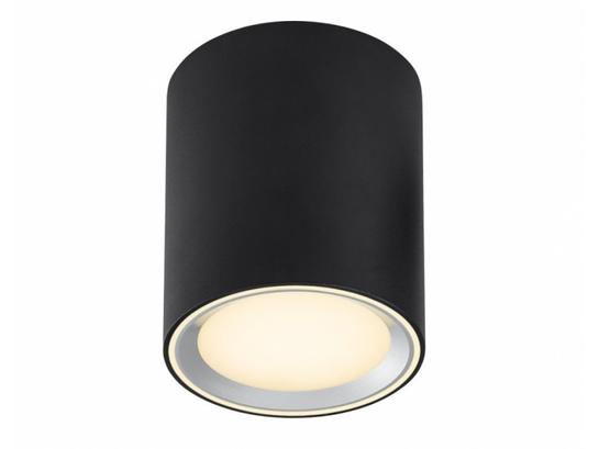 Фото точковий світильник Nordlux Fallon 47550103 купити з доставкою на skylight.com.ua