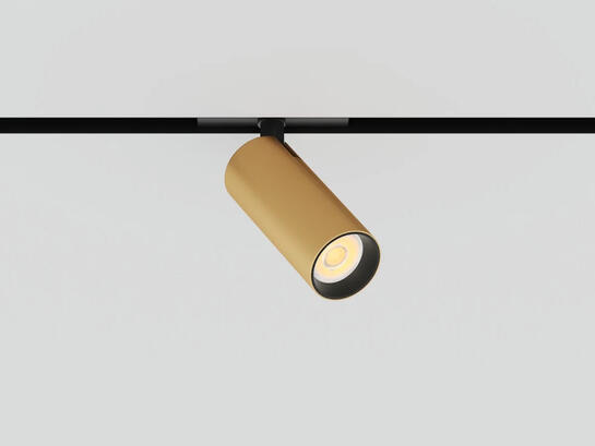 Фото трековый светильник LiGHT HUB LH35-FOCUS-10-GD золото, купить с доставкой на skylight.com.ua
