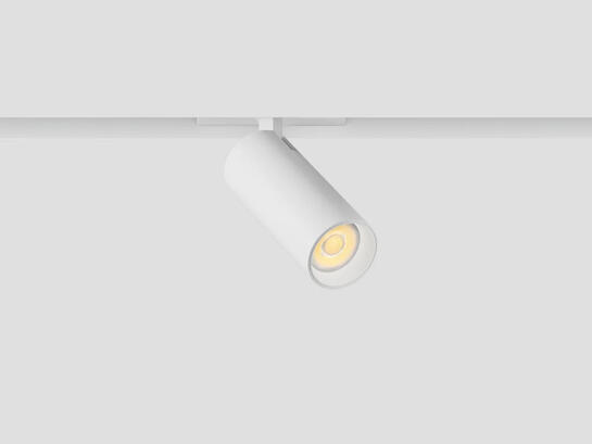 Фото трековый светильник LiGHT HUB LH35-FOCUS-10-WH белый, купить с доставкой на skylight.com.ua