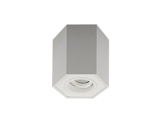 Фото потолочный спот Zuma Line Polygon CL R 20077-WH, купить с доставкой на skylight.com.ua