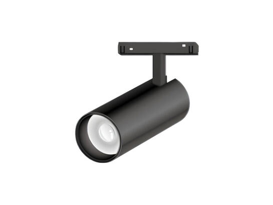 Фото магнитный трековый светильник SSB Light MS26-T D55 18W (1C), купить с доставкой на skylight.com.ua