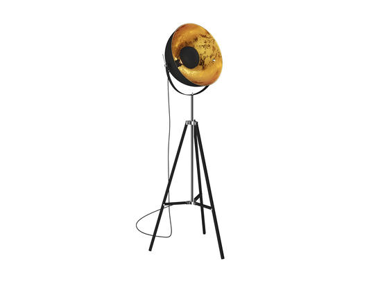 Фото торшер Zuma Line  ANTENNE TS-090522F-BK, купити з доставкою на skylight.com.ua